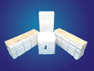 Ceramic Fiber Modules