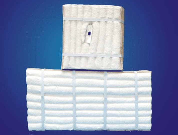 Ceramic Fiber Modules