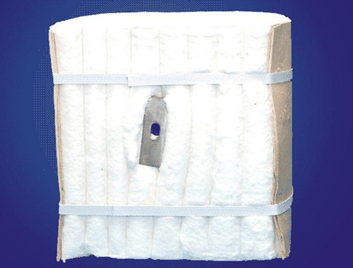 Ceramic Fiber Modules